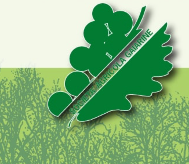 Schermata 2023-11-22 alle 17.51.31